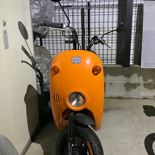 取りに来れる方限定