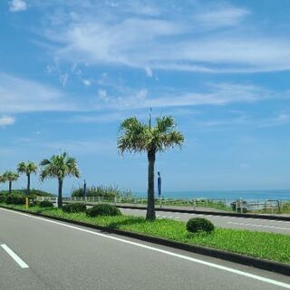 リーベ鹿児島しませんか？