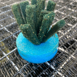 メダカの卵　無料で差し上げます。