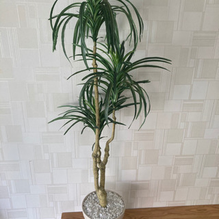 フェイク観葉植物