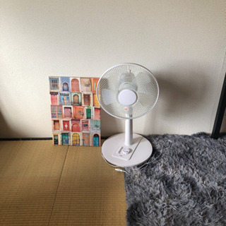 扇風機⭐︎一年使用の超美品