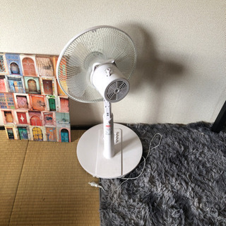 扇風機⭐︎一年使用の超美品の画像