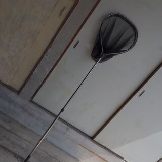 タモ網　コンパクト🥳🥳🥳🏕️🏕️🏕️