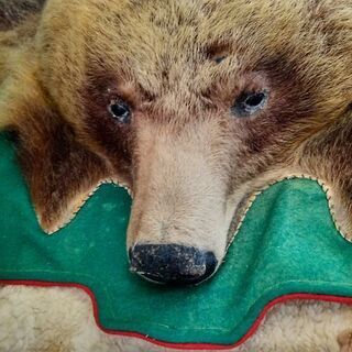 羆(ヒグマ)敷物(毛皮)