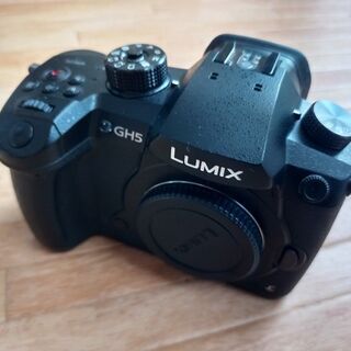 Lumix GH5 ミラーレス カメラ