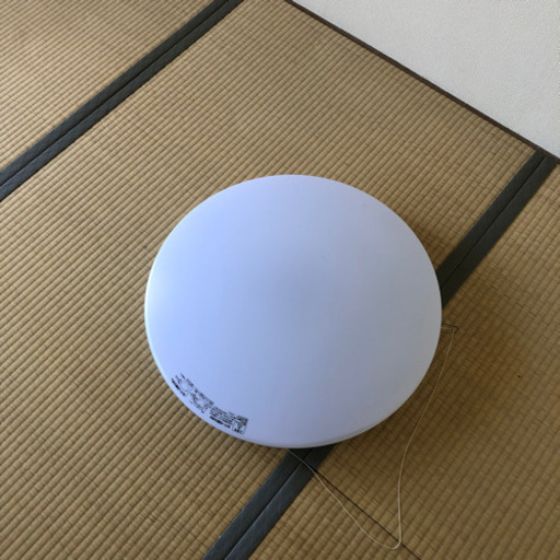 電灯