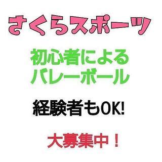 1/7(金)！さくら市でバレー！