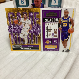 Lebron James & Anthony Davis pan...