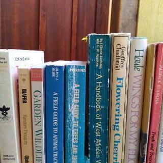 英語本セットの画像