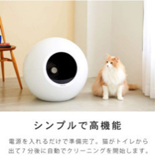全自動猫トイレの画像