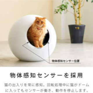 全自動猫トイレの画像