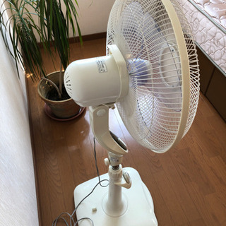 大型扇風機の画像