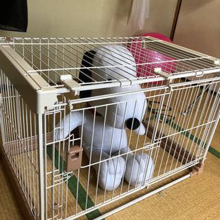 リッチェル ケージ ペット オリの画像
