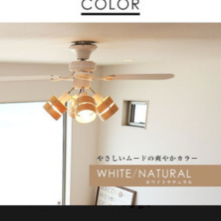 lowya シーリンライトファン　※引き取りの方12000円にしますの画像