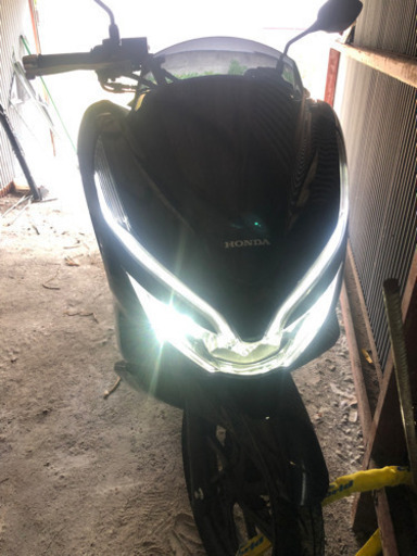 バイク PCX