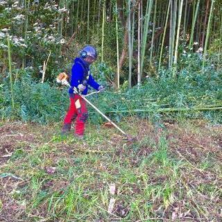 夏の草刈り割引き始めます^_^