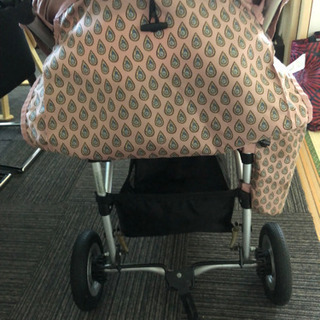 エアバギー   ソレイアード限定モデル　レインカバーと空気入れ付きの画像