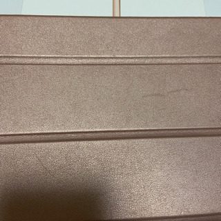 iPad mini5 64GB Cellularモデル Goldの画像