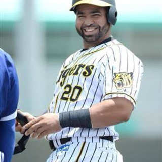 阪神タイガースファン募集！