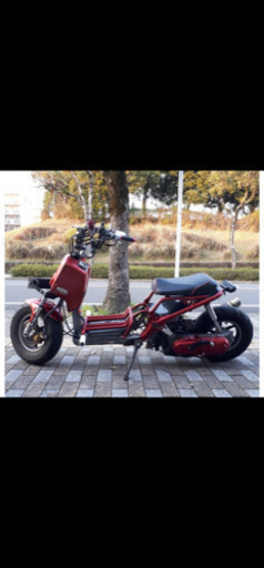 ホンダズーマー　熊本　最終値下げ‼️