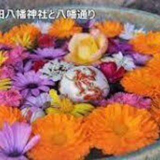 ８月７日（土）日本一の花手水行田市寺社めぐり　高崎線行田駅１５時