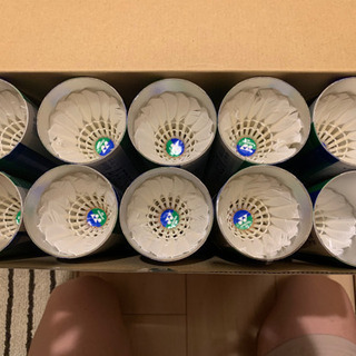 バドミントンシャトル（中古品）の画像