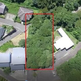 【無料】薪用・BBQ用の生木　220坪分の広さの生木をすべてどうぞ