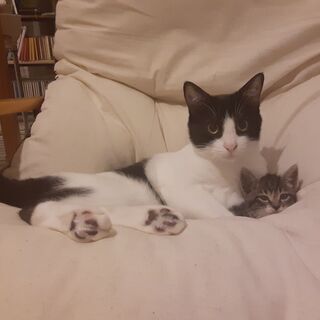 チャット友達募集中