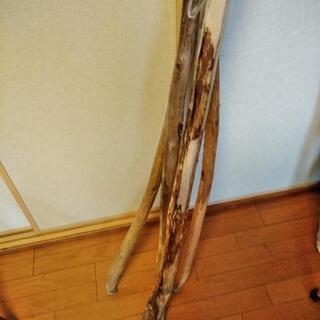 ?セット11本・流木を利用してお部屋?イメチェン