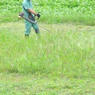 ¥8800！ 草刈り・草撤去【千葉県八街市山田台】単発！高収入！...