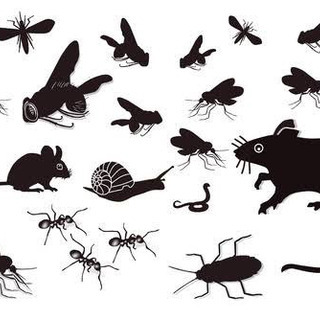 害虫、害獣の被害で困ってる方必見！