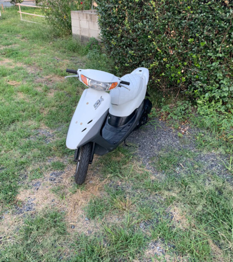 ライブディオZX仕様　原付　バイク　50cc 車体　本体