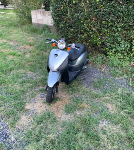 AF67 トゥデイ　原付　バイク　50cc 車体