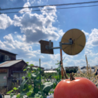 【破格】耐火レンガ20個の画像