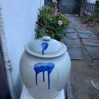素焼き植木鉢　たくさん持っていってください