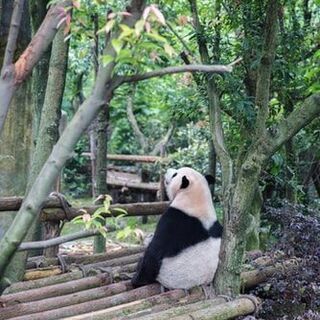 仕事、二の次でもいいんじゃないですか？　どうですか？