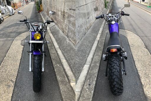 【動画 画像複数  王道カスタム❗️】 ヤマハ TW200 2JL 4CS3 1996年式