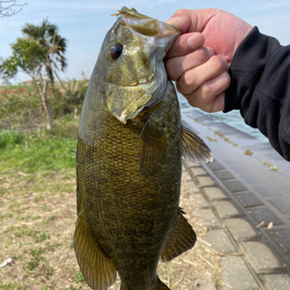 バス釣り友達募集！