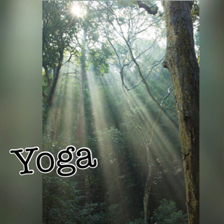 Yoga、体験からいかがですか？