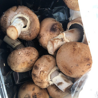 サワー各種x４缶の画像