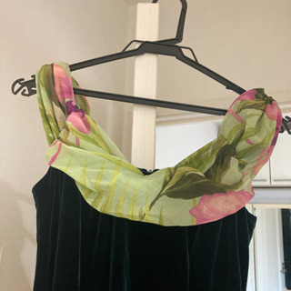 グリーンドレスの画像