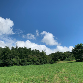登山メンバー募集‼️                      ...