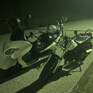 フォルツァ250【自賠責付き】