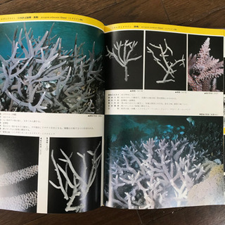 沖縄に関する百科事典2種類の画像