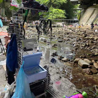 兵庫県！独身！X!別れかけ!のみ男女。ライングループ「独心会」発動！オフ会重視！ − 兵庫県