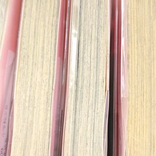 殉愛のリリス「１～３」罪×罰～夜に秘メゴト～「１～３」共に全巻　計６冊の画像