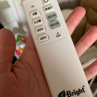 シーリングライト