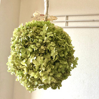アナベル紫陽花フライングボールリース
