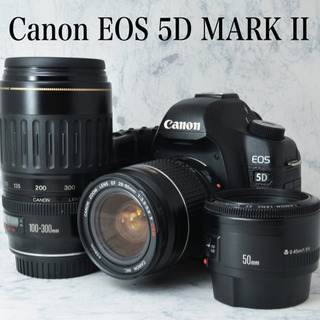 憧れのフルサイズ機●トリプルレンズ●キャノン EOS 5D MARKII 1ヶ月動作保証あり！