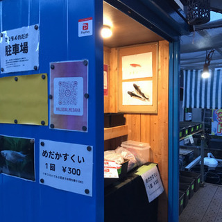 めだかの無人販売をしています。年中無休！！😃